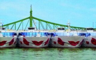 A ROSA Flussreise für gewöhnlich das Besondere 6