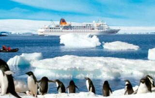 Stornokabine ANTARKTIS mit SÜDGEORGIEN ab 8475 Euro 7