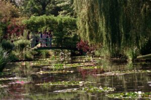 Seerosenteich Giverny3