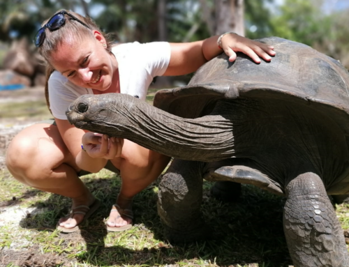 Weltreise Indischer Ozean in 15 Tagen ab 18.11.2023 zu Riesenschildkröten und der größten Lagune der Welt
