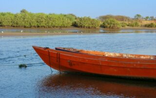 piroge vor mangrovenwaeldern in der casamance credit travel nerd stockadobecom