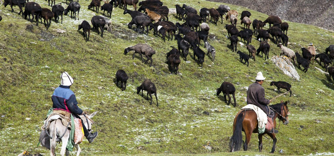 Viehzüchter in Kirgistan