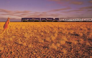 204 der indian pacific indian pacific x