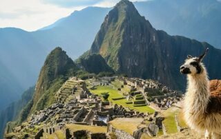 lama in machu picchu copyright pawopa3336 stock adobe com