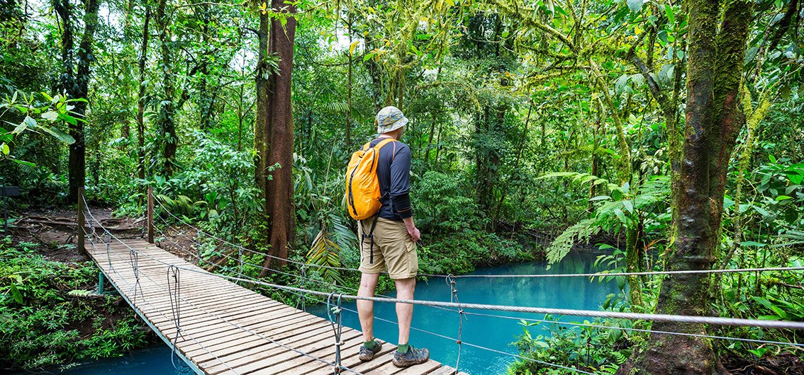 Wanderung-durch-den-Regenwald-Costa-Ricas-Credit-Galyna-Andrushko-stock_adobe