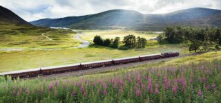 der royal scotsman copyright david noton photography