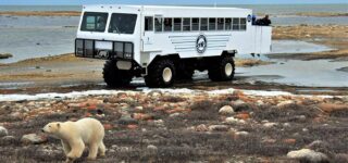 mit dem buggy durch die tundra copyright brian wilson frontiers north adventures