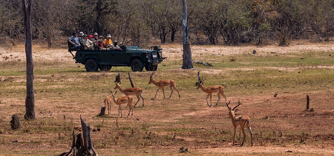 Afrika - Matusadona-Nationalpark