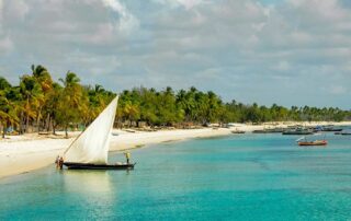 afrika strand in mosambik 41 credit noradoa stock.adobe .com