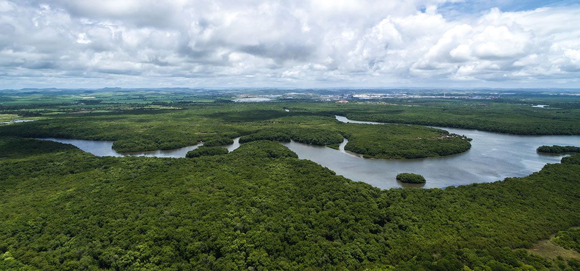 Amazonas