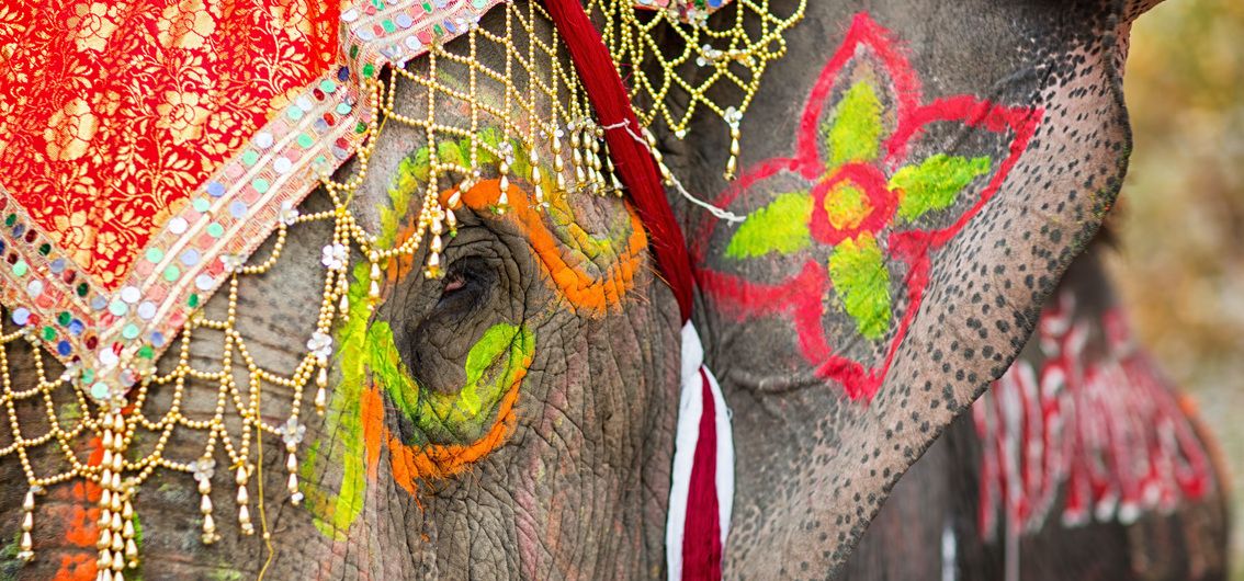 Indischer Elefant mit traditioneller Bemalung