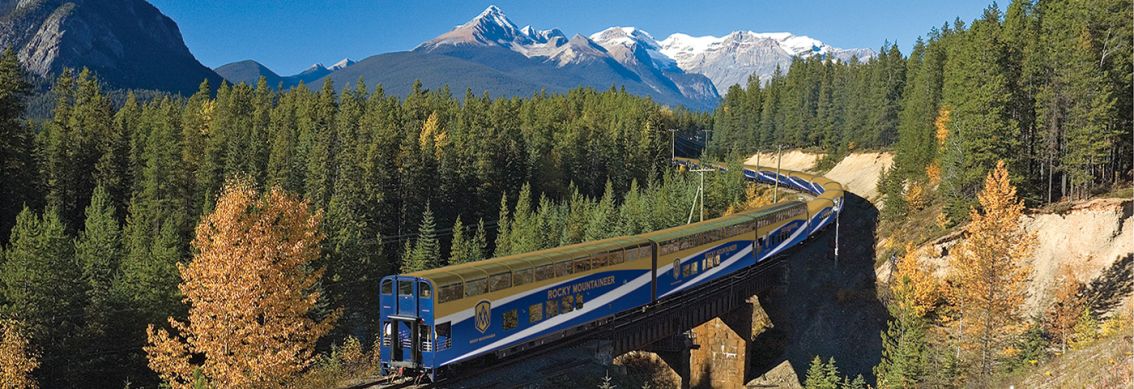 Rocky Mountaineer - Goldener Ahorn