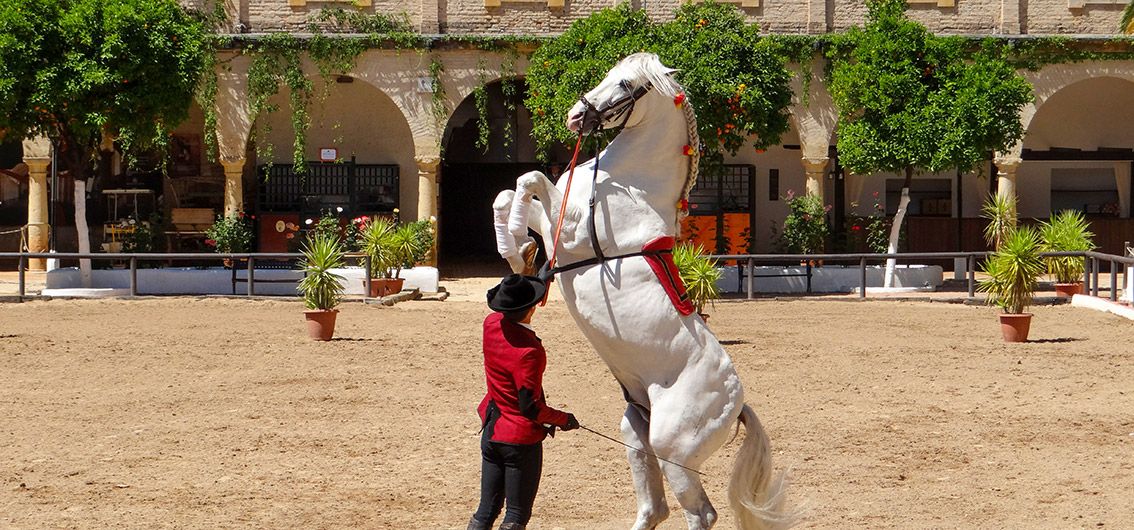 Spanien_Koeniglich-Andalusische-Reitschule