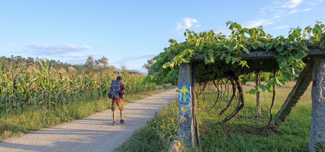 Wanderer auf dem Jakobsweg