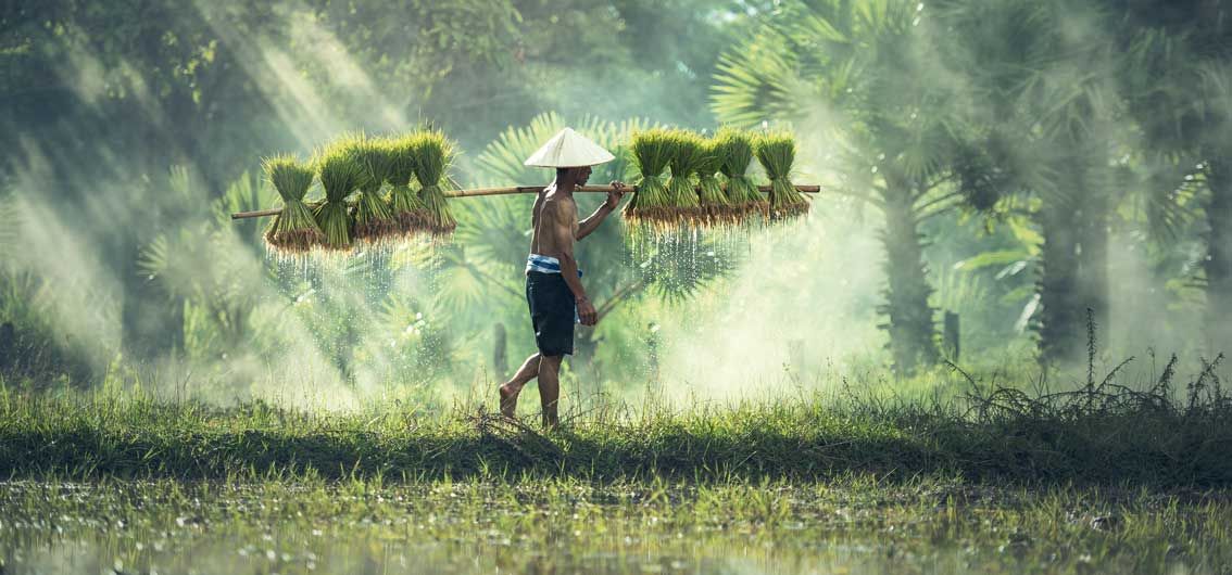 Laos