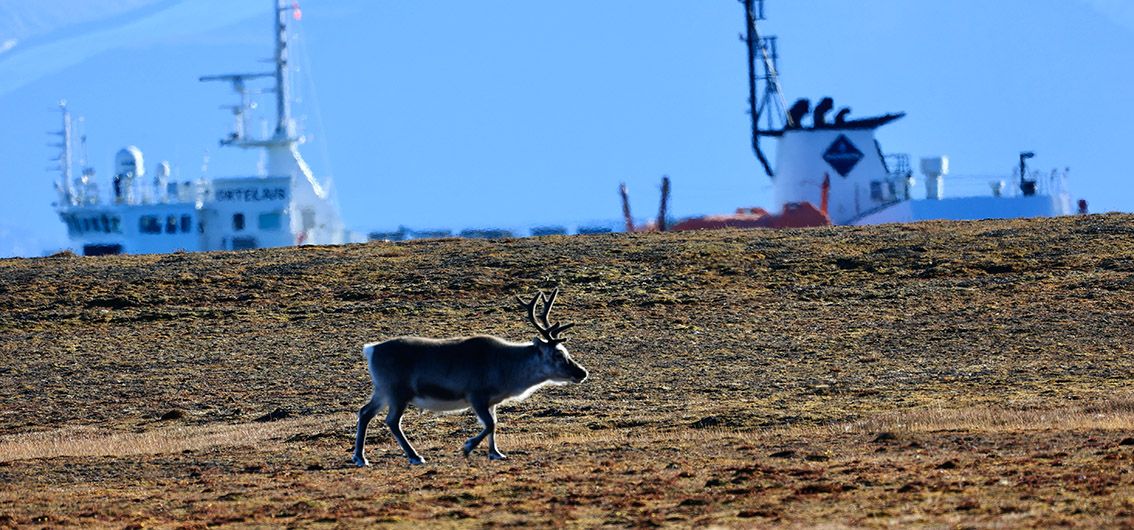 Spitzbergen