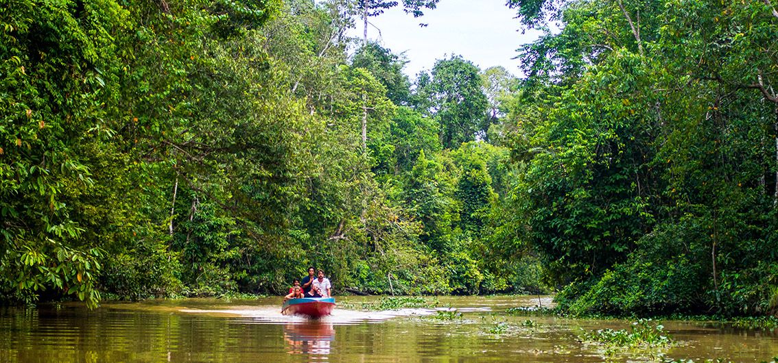 Auf-dem-Kinabatangan-Fluss