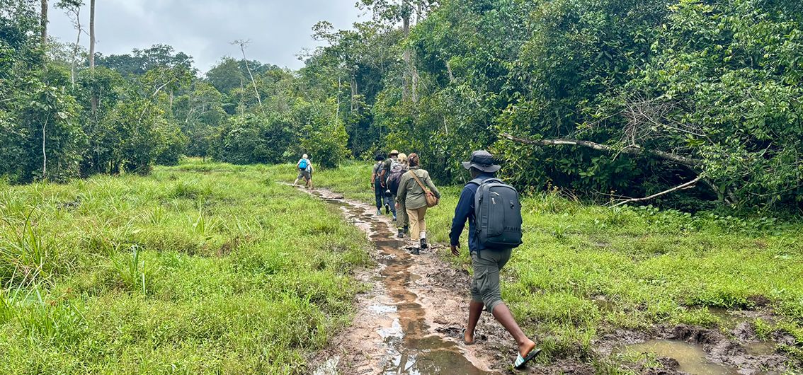 Wanderung durch den Schlamm