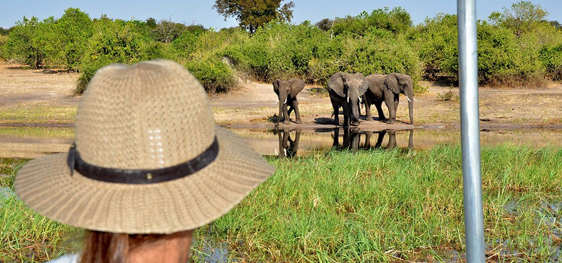 Afrika_Safari-per-Boot-im-Chobe-Nationalpark_54_Credit-Paul-Karnstedtt.jpg
