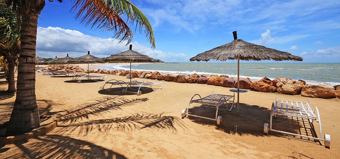 Saly