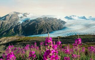 kenai fjords nationalpark credit holland america line