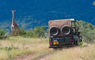 Reisen 11 141 2 auf pirschfahrt x