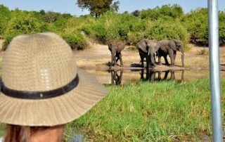 Reisen 6 afrika safari per boot im chobe nationalpark 54 credit paul karnstedtt