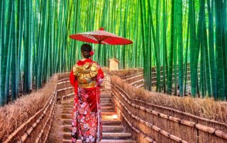 Reisen 8 bambuswald in kyoto credit tawatchai1990 stock.adobe .com