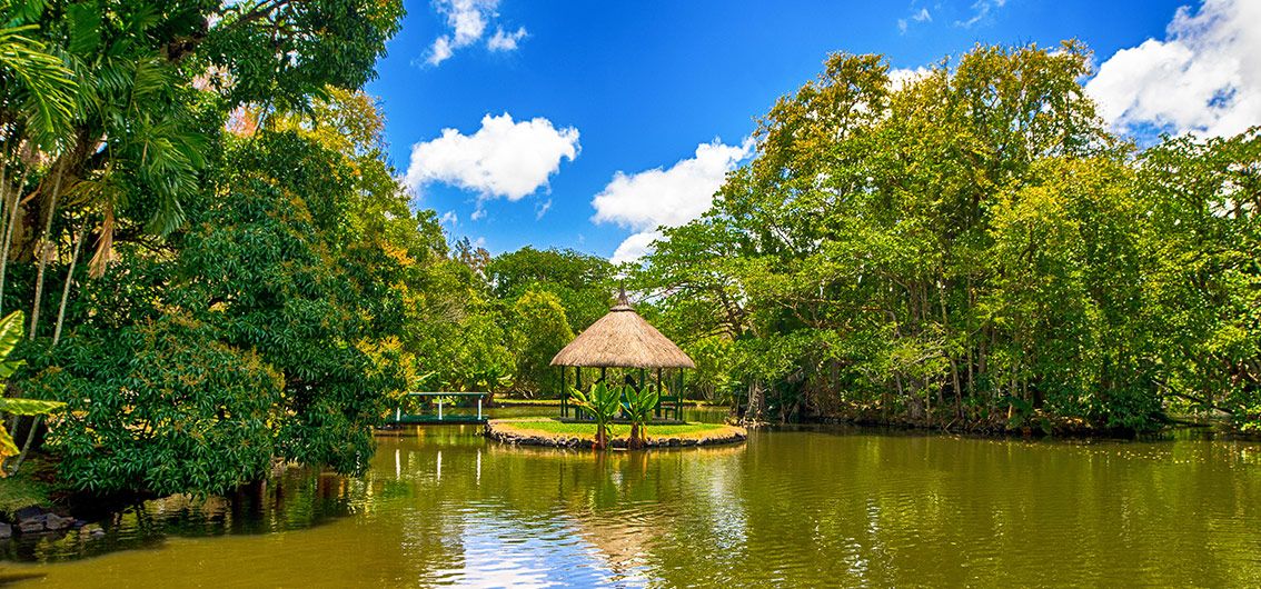 Botanischer-Garten-von-Pamplemousses-auf-Mauritius---1---