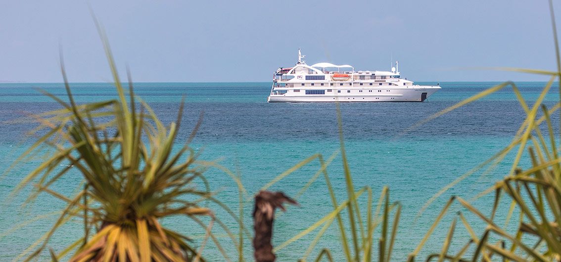 Coral-Adventurer---Credit-Coral-Expeditions