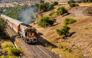 der oriental desert express credit geert stock.adobe .com