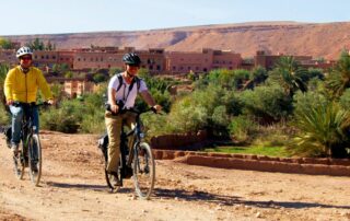 e bike martin platter