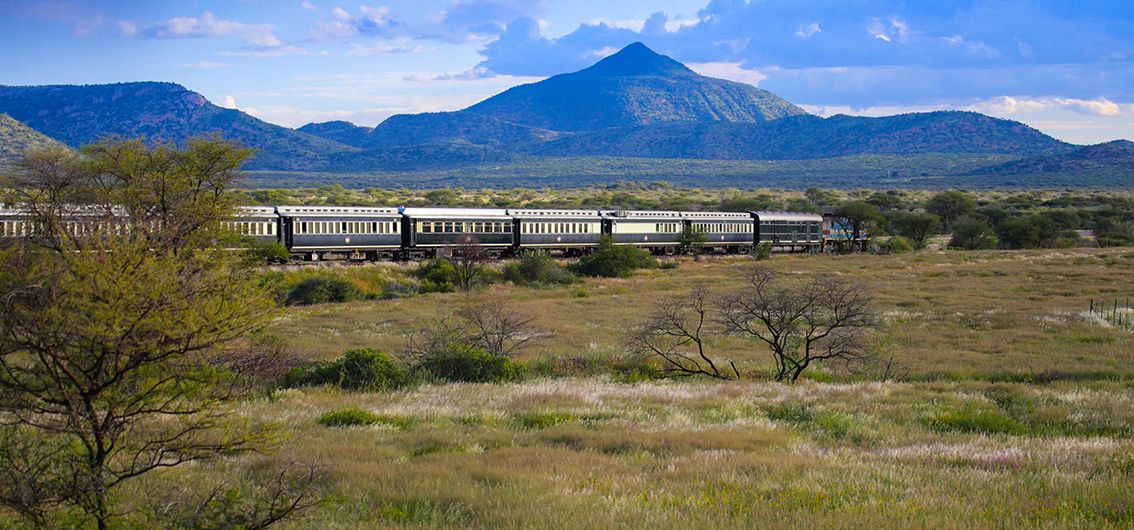 Ihr-Sonderzug-African-Explorer unterwgs in der Savanne