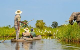 Reisen 2 im mokoro kanu unterwegs im okavango delta 15 credit chrisovergaard stock.adobe .com