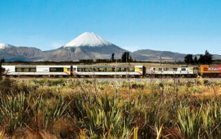 Reisen 3 northern explorer 4 credit the great journey of new zealand