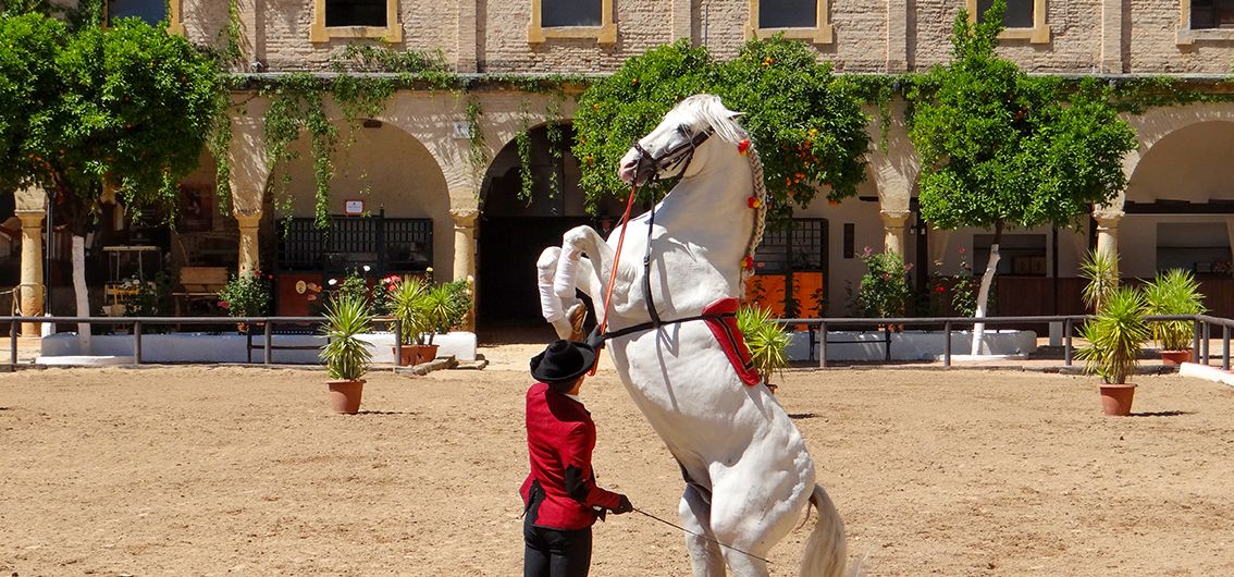 Pferdedressur-in-Jerez---(34)---Credit-_1134x530